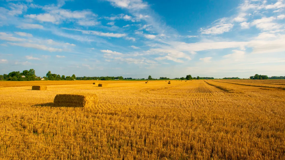 Ahold Delhaize teams with General Mills to reduce greenhouse gas emissions